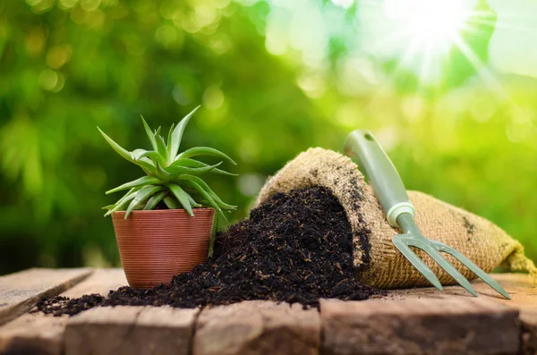 Kaktus auf Pflanzkübel mit Düngerbeutel über grünem Hintergrund — Stockfoto