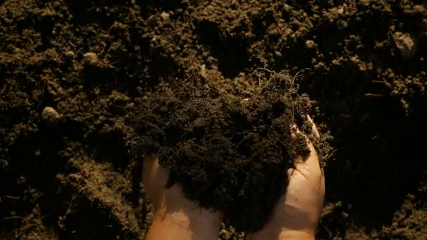 Zwolnionym Tempie Rolnik Ręce Trzymając Odlewania Powrotem Organicznych Gleby Zachód — Wideo stockowe