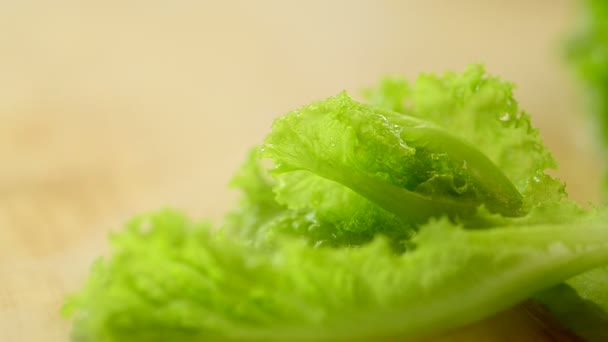 Ensalada Frescura Para Cocinar Con Agua Niebla Vapor — Vídeos de Stock