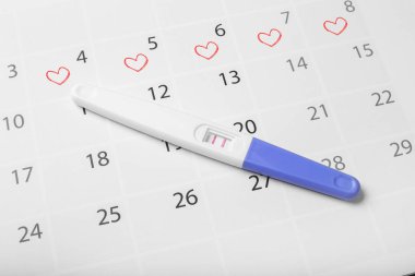 Takvim arka planında pozitif gebelik testi