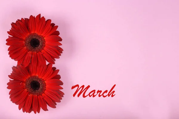 La gerbera roja florece sobre un fondo rosado. Copiar espacio. El concepto es el 8 de marzo —  Fotos de Stock