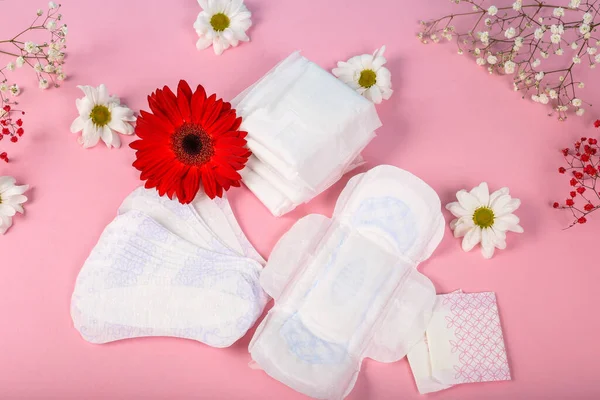 Pembe arka planda kırmızı gerberalı ve beyaz papatyalı bir sürü adet pedi, üst manzara, fotokopi alanı. Yumurtlama konsepti. Regl konsepti.