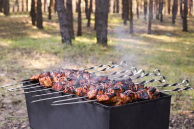 Kozalaklı ormandaki ızgaranın üstünde ızgara. Kebap, şiş kebap. Ormanda piknik.