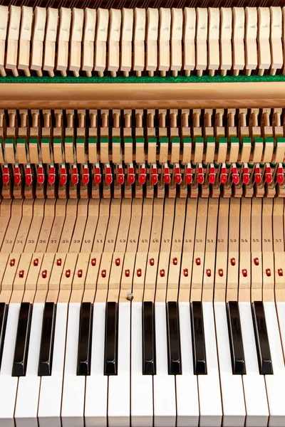 Klavier Von Innen Beschriftet - Musikinstrumente | Igel Records