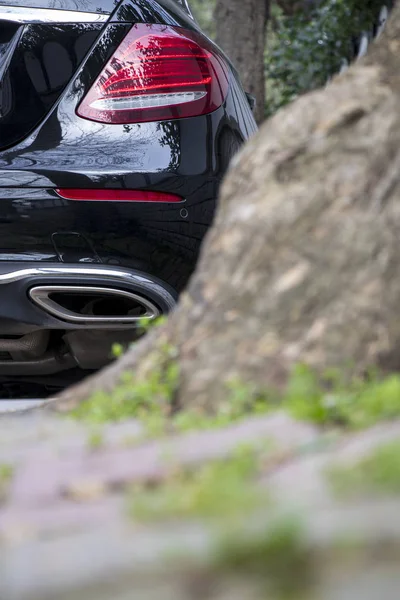 luxury modern car behind tree in street