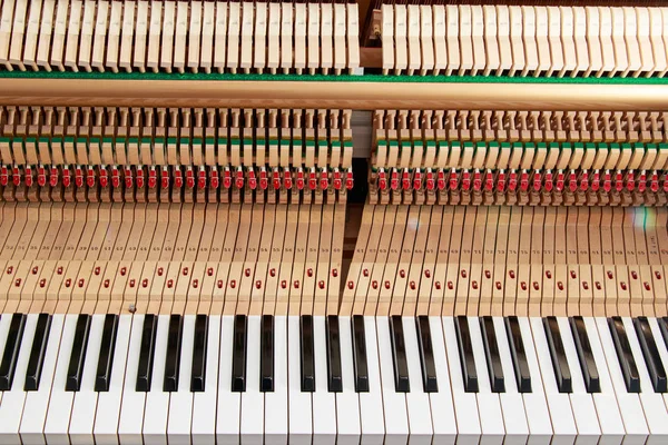 Close up image of grand piano keys and interior showing strings, hammer and structure background Royalty Free Stock Photos