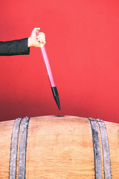 Vigneron obtenir un échantillon de vin rouge de barre — Photo