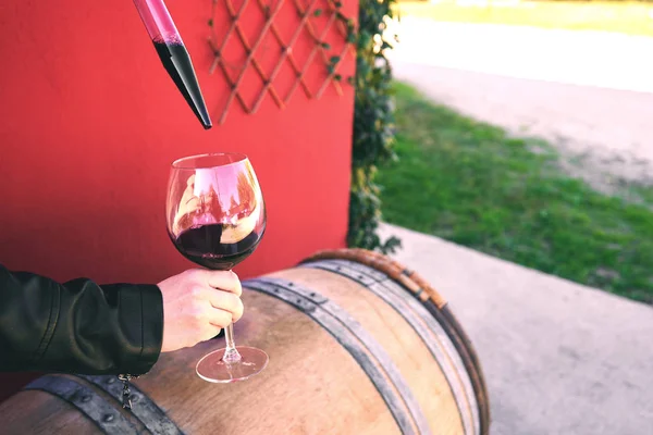Winiarz pobieranie próbki czerwonego wina z barre — Zdjęcie stockowe