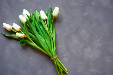 Beyaz Lale Üstten Görünüm