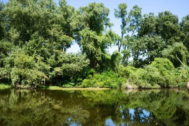 Delta Meriç, Yunanistan Nehri'nin parçası