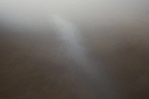 Часть дельты реки Эврос с туманом, Греция — стоковое фото