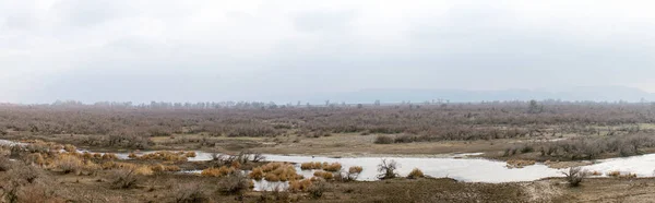 Partie du delta du fleuve Evros, Grèce, vue panoramique — Photo