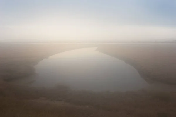 Пейзаж на дельте реки Эврос с туманом, Греция — стоковое фото