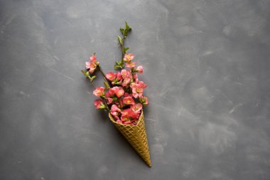 Dondurma külahı çimento zemin üzerine çiçeklenir