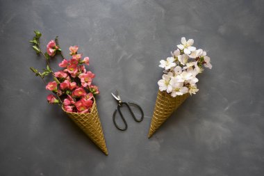 Dondurma külahı çimento zemin üzerine çiçeklenir