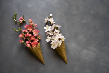 Dondurma külahı çimento zemin üzerine çiçeklenir