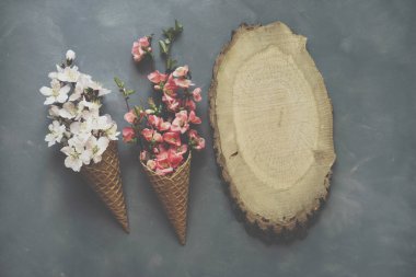 Dondurma külahı çimento zemin üzerine çiçeklenir