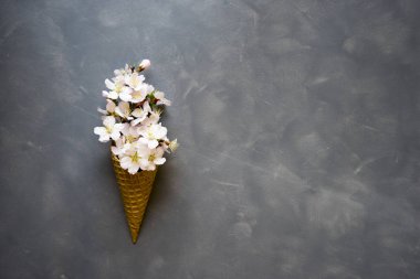 Dondurma külahı çimento zemin üzerine çiçeklenir