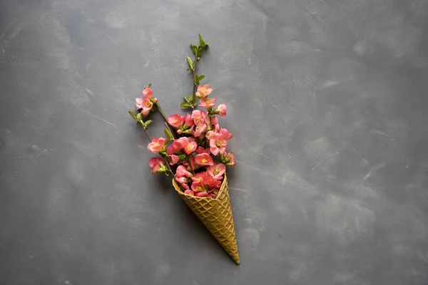 Flowers in ice cream cone on cement background