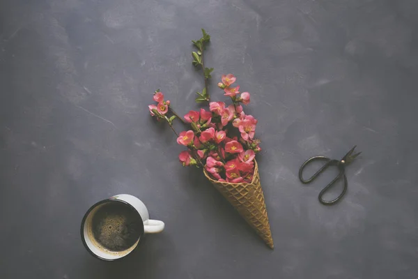 Flowers in ice cream cone on cement background — Stock Photo, Image
