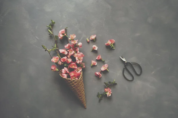 Flowers in ice cream cone on cement background