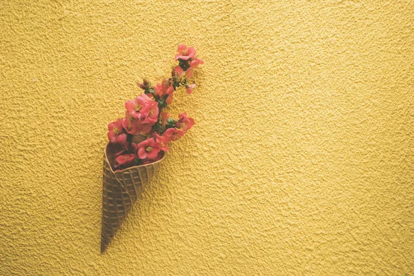 Flowers in ice cream cone on yellow background