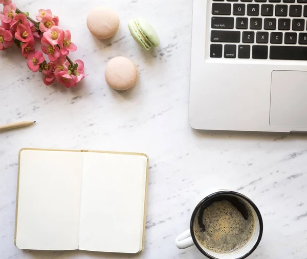 Офісний стіл з ноутбуком, чашкою кави та квітами — стокове фото