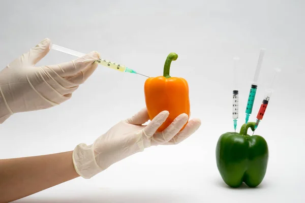 ГМО-эксперимент ученый впрыскивает жидкость в перец на белом b — стоковое фото