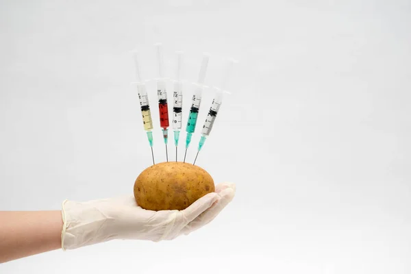Científico experimento transgénico inyectando líquido en la patata en blanco b — Foto de Stock