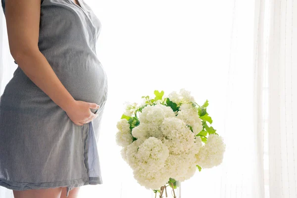 Junge schöne schwangere Frau steht am Fenster zu Hause — Stockfoto