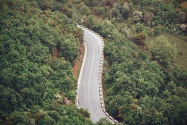 Bahar zamanı, hava yolu ormandaki vie