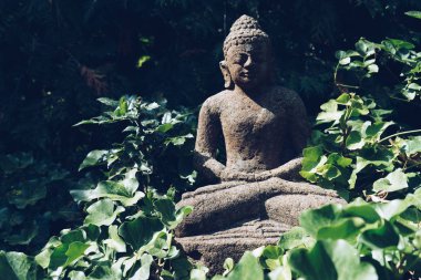 Yeşil doğa üzerinde Buda heykeli