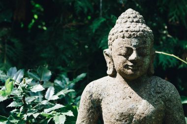 Yeşil doğa üzerinde Buda heykeli