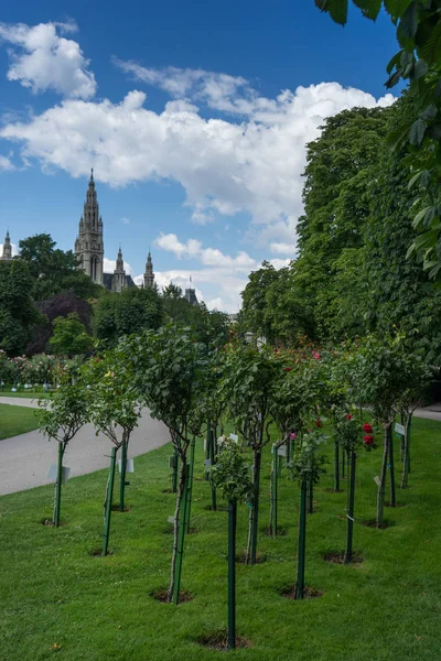 Volksgarten or People Garden in Vienna, Austria. — Stock Photo, Image