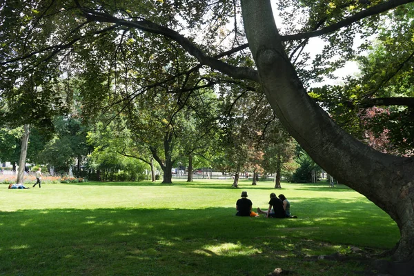 Viyana, Avusturya, Temmuz 2017: Güzel park city hall Vie içinde yakınındaki