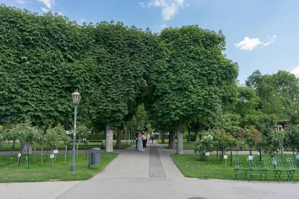 Bécs, Ausztria, 2017. július: Volksgarten vagy emberek kert Vien — Stock Fotó