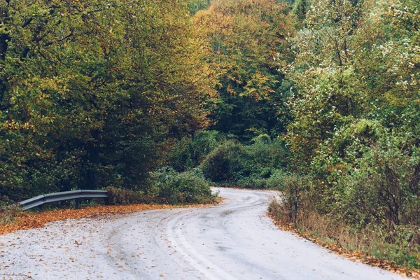 Paisaje otoñal, carretera en el bosque — Foto de Stock