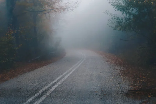 Autumn landscape, foggy road in forest — Stock Photo, Image