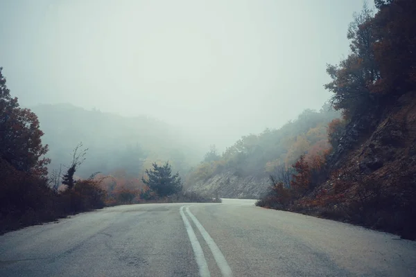 Camino en el bosque de otoño con niebla, paisaje natural — Foto de Stock