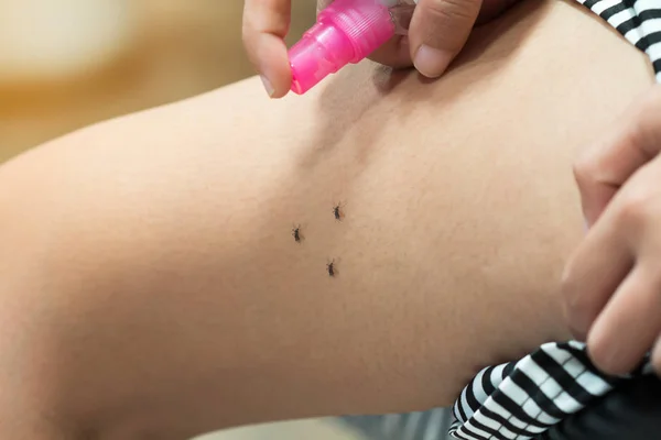 Mujeres Rociando Repelente Insectos Sobre Mosquitos — Foto de Stock