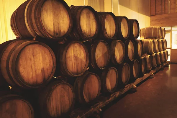 Cuve Fermentation Vin Dans Une Cave — Photo