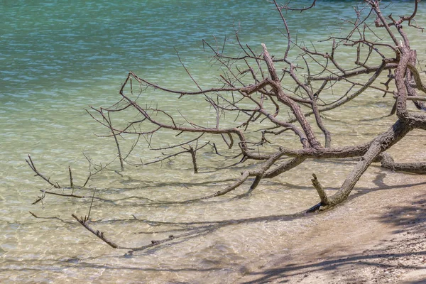 Güzel beyaz kum plaj ve Phi Phi Island Tayland, temiz su