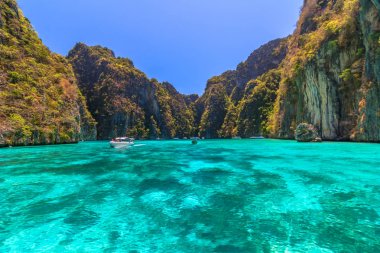 Ao Pi Leh Phi Phi Adaları Krabi Thailand noktası ünlü tur gölünde snorkeling 