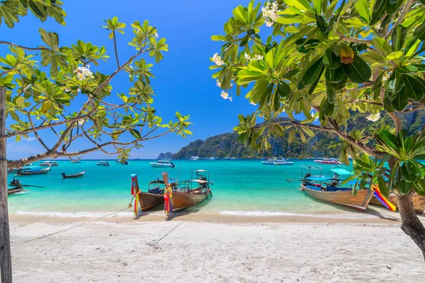 güzel beyaz kum plaj ve Phi Phi Island Krabi Thailand, temiz su