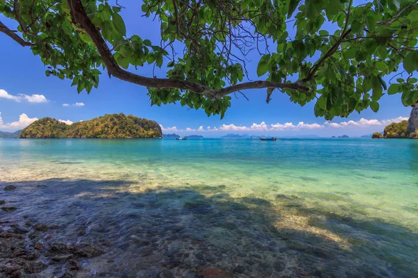 Tropikal plaj Andaman Denizi, Krabi, Tayland