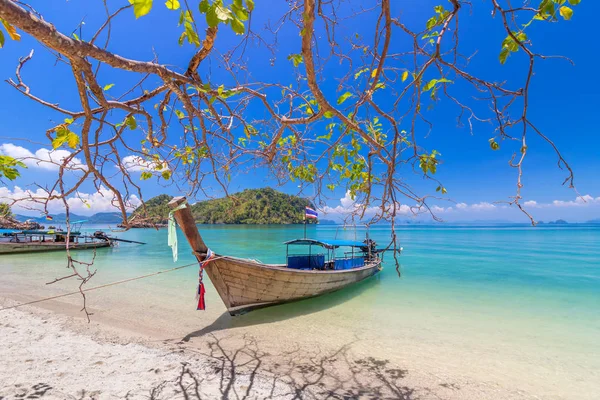 Uzun kuyruk tekneler sahilde, Krabi, Tayland