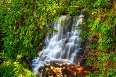 Mun daeng şelale, güzel şelale derin orman, Phu Hin Rong Kla Milli Parkı, Phitsanulok, Tayland