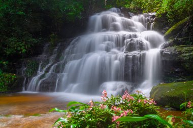 Mun daeng şelale, güzel şelale derin orman, Phu Hin Rong Kla Milli Parkı, Phitsanulok, Tayland