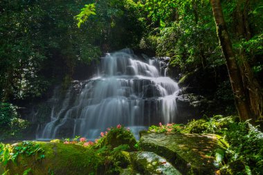 Mun daeng şelale, güzel şelale derin orman, Phu Hin Rong Kla Milli Parkı, Phitsanulok, Tayland