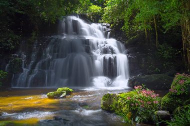 Mun daeng şelale, güzel şelale derin orman, Phu Hin Rong Kla Milli Parkı, Phitsanulok, Tayland